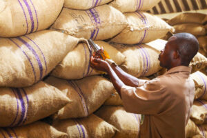 How Cocoa Price Volatility Impacts the Ghana Stock Exchange