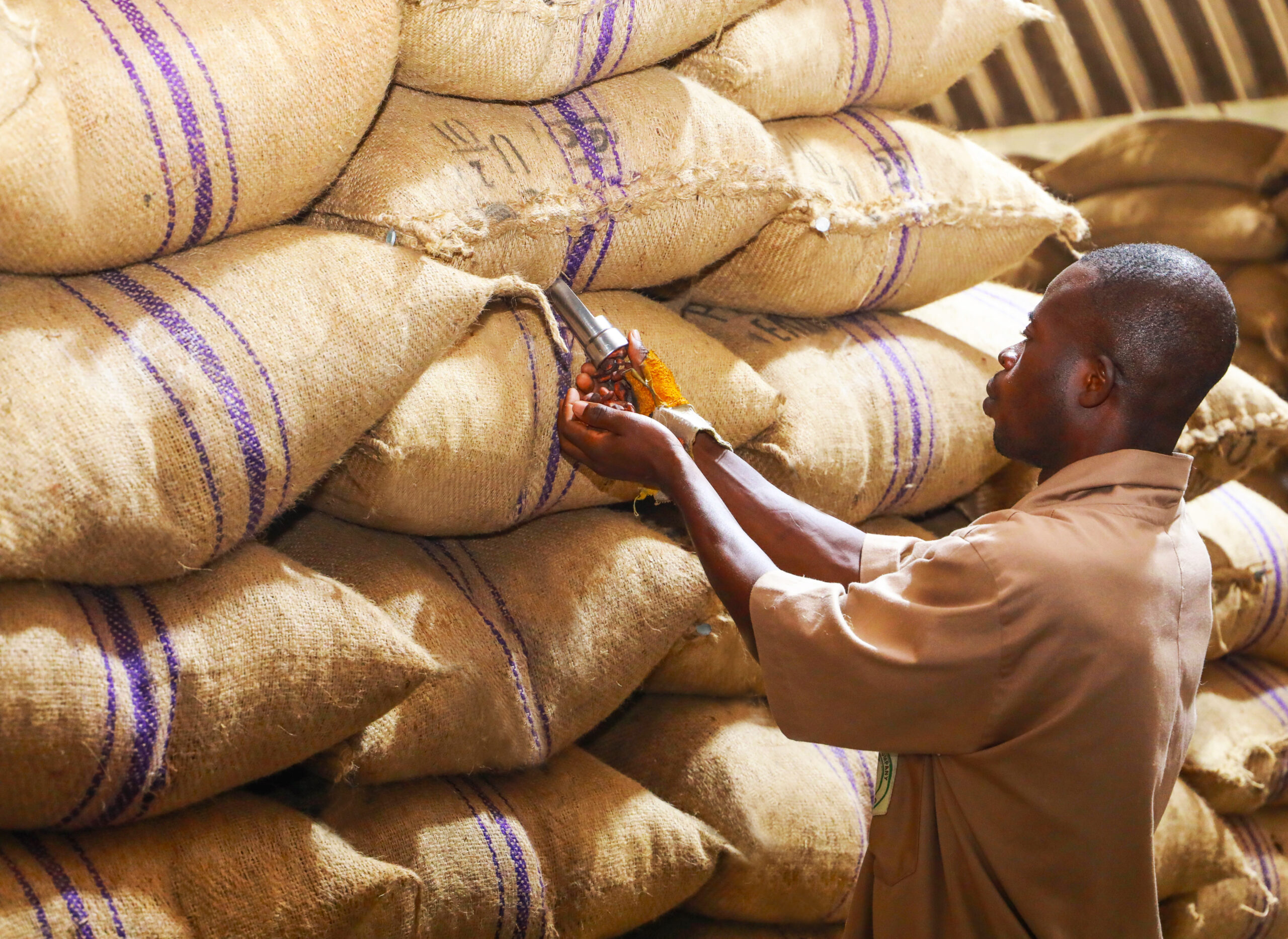 How Cocoa Price Volatility Impacts the Ghana Stock Exchange