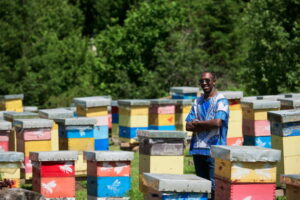 Beekeeping and Honey Production in Ghana