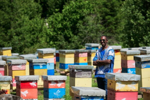Beekeeping and Honey Production in Ghana