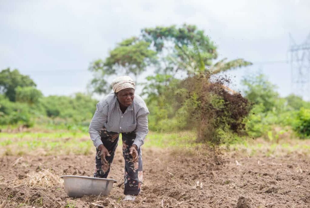 Organic Fertilizer Production Business in Ghana