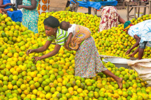 Ghana’s Consumer Market in Transition
