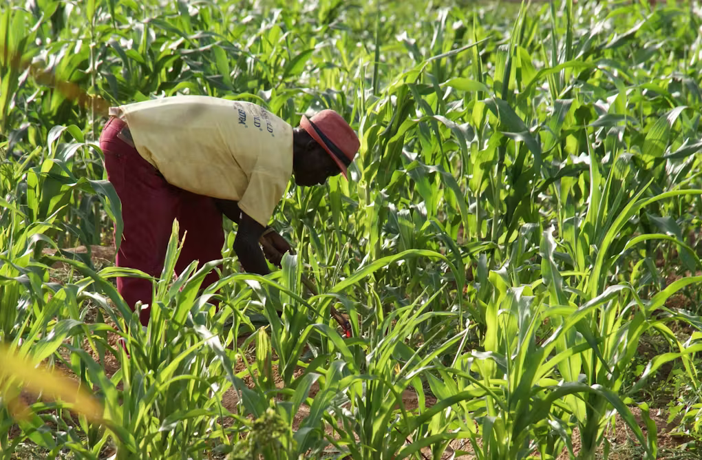 Long-Term Economic Lessons Ghana Must Learn for Sustainable Growth