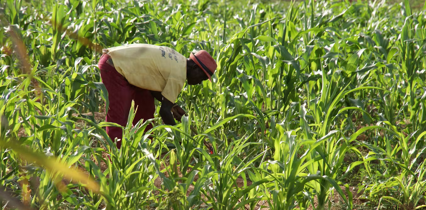 Long-Term Economic Lessons Ghana Must Learn for Sustainable Growth