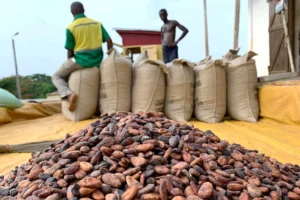 Ghana and Côte d’Ivoire Cocoa Alliance — Update
