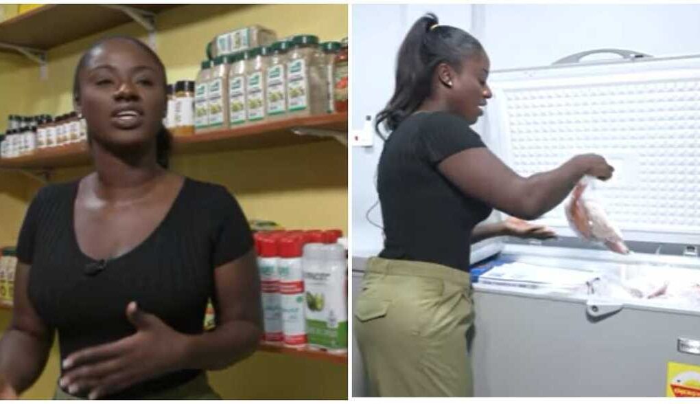 How Cold Stores Make Money in Ghana