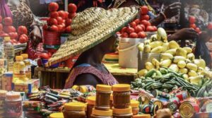 Why Revenue Mobilisation Is Critical