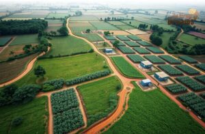 What Economic Diversification Means for Ghana